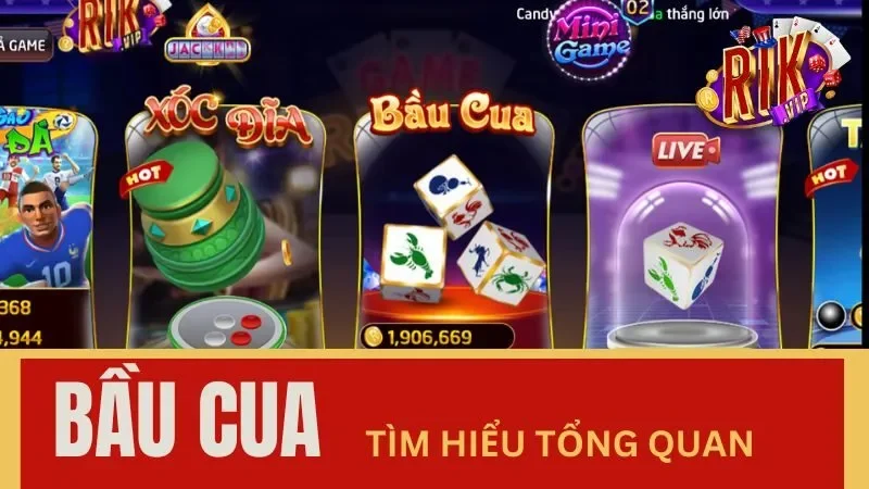 Hướng dẫn cách chơi Bầu Cua tại Rikvip dễ hiểu nhất năm 2024